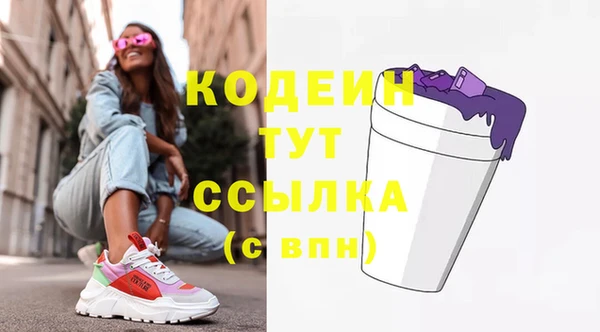 apvp Мегион
