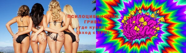 шишки Бугульма