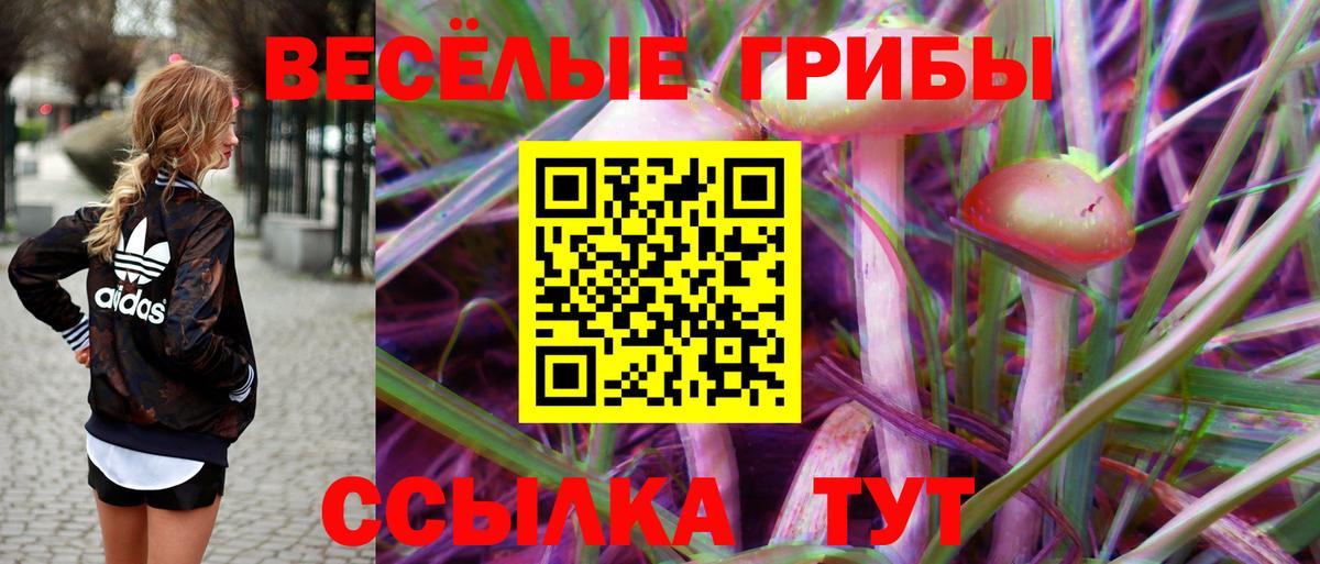 Псилоцибиновые грибы прущие грибы  Вход с VPN  Псилоцибиновые грибы мицелий  Геленджик 